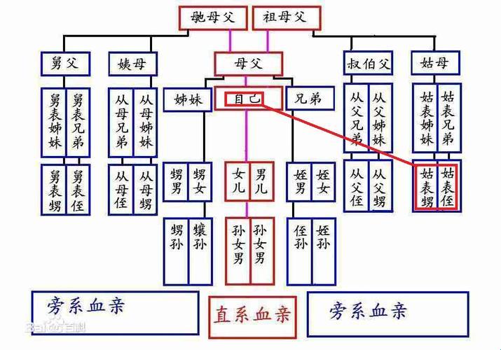 “世系”揭秘：遗传的笑话与血统的调侃