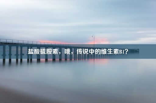 盐酸硫胺素，哦，传说中的维生素B1？