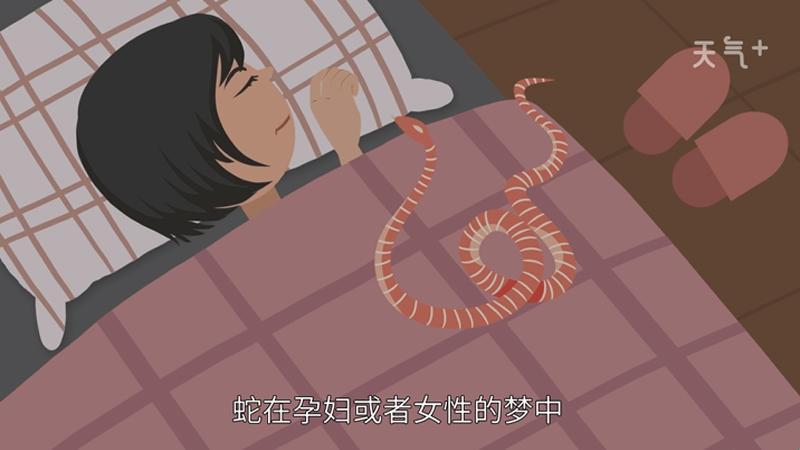 梦见蛇，搞怪“胎”记：生女孩的魔幻预言