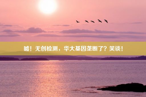 嘘！无创检测，华大基因垄断了？笑谈！