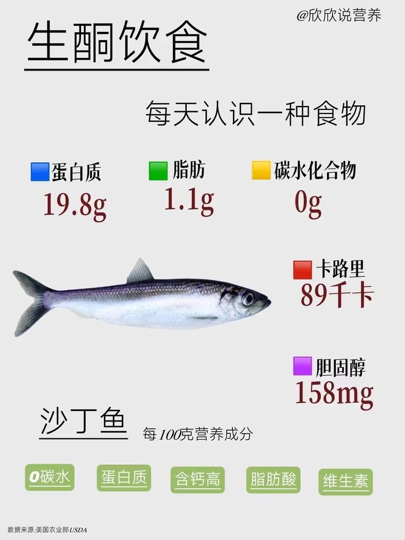 巴沙鱼，爱的禁忌游戏：揭秘食神不欲知的十大戒律