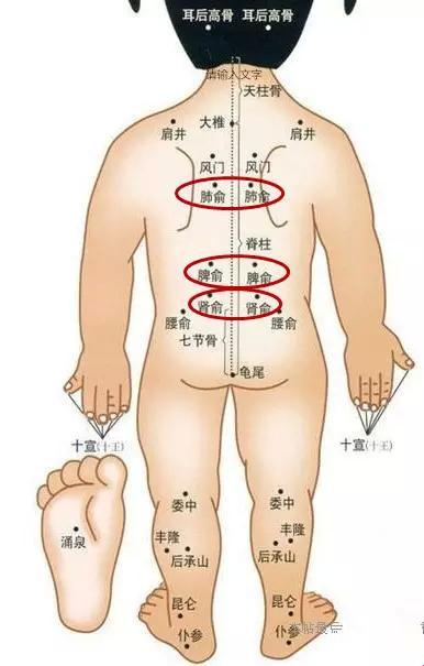 小儿科的“脾俞”谜团，解构啦！