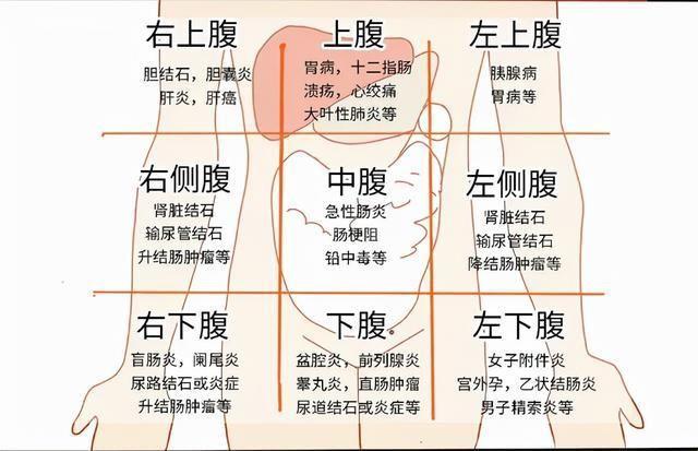 “哎呦喂，胃疼位置图解，腹部神秘地带大揭秘！”