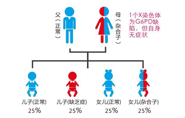 “蚕豆病”是个什么鬼？缺乏症中的“网红”！