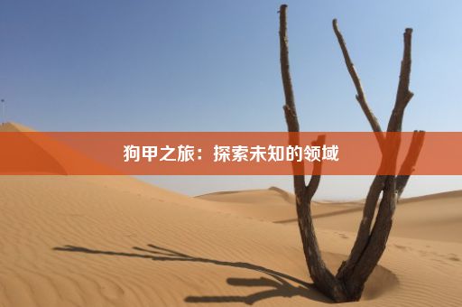 狗甲之旅：探索未知的领域