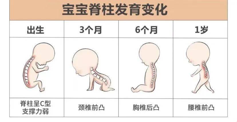 生男宝脊柱图，绝世秘籍还是坑人把戏？