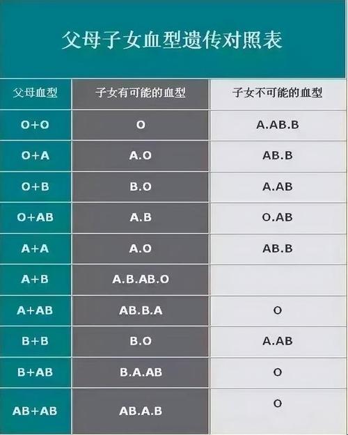 A型血：槽点满满，却是爱意泛滥的“小天使”