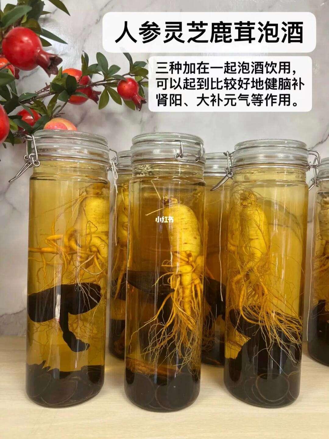 灵芝泡酒：嘲讽背后的“神水”奥秘