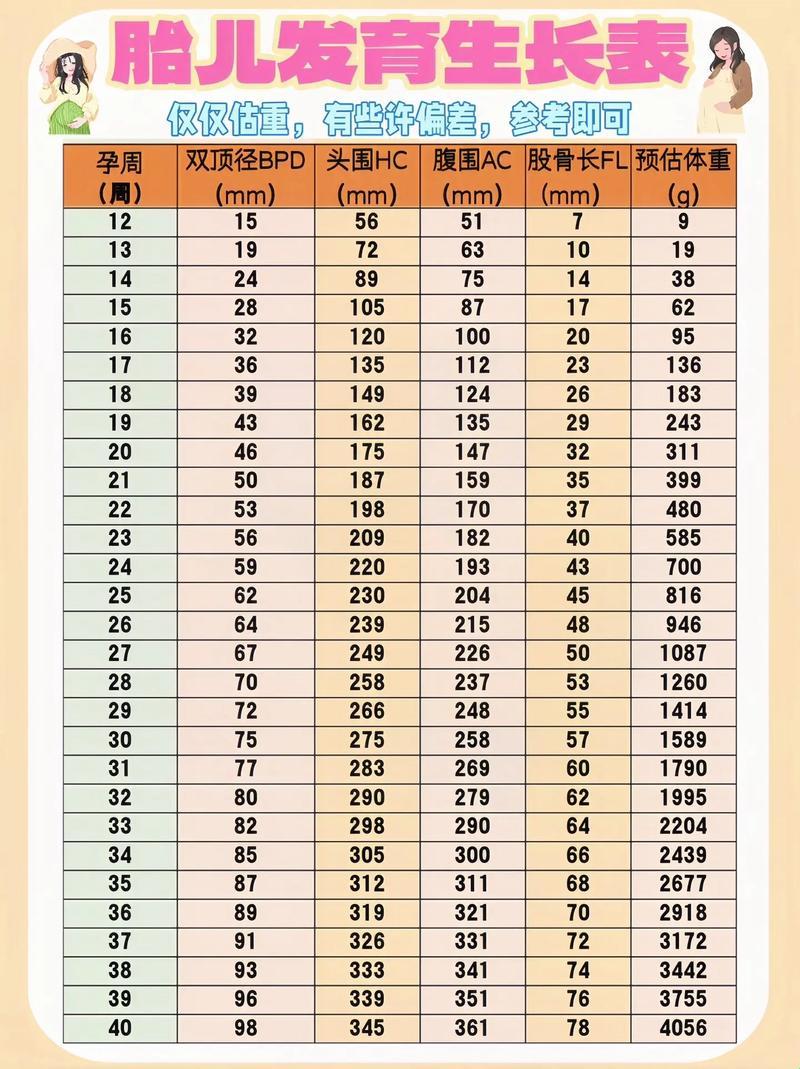 双顶径与股骨字母代号：笑谈人体的秘密语言