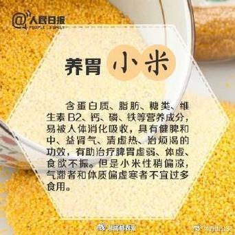 “饭”中寻宝：米的神奇力量，让你笑到肚子疼！