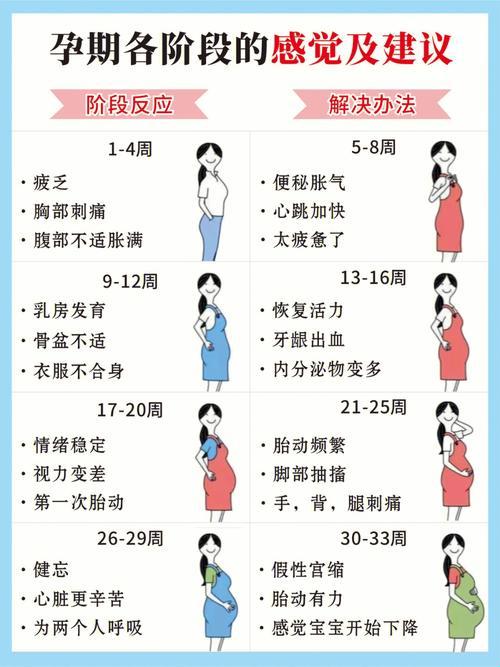 怀女14症：孕中探秘，笑中带泪