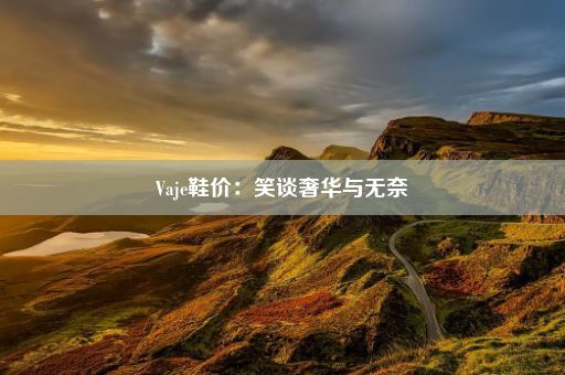 Vaje鞋价：笑谈奢华与无奈