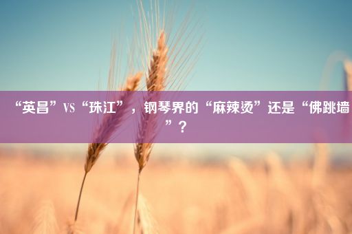 “英昌”VS“珠江”，钢琴界的“麻辣烫”还是“佛跳墙”？