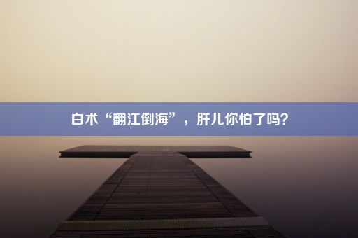 白术“翻江倒海”，肝儿你怕了吗？