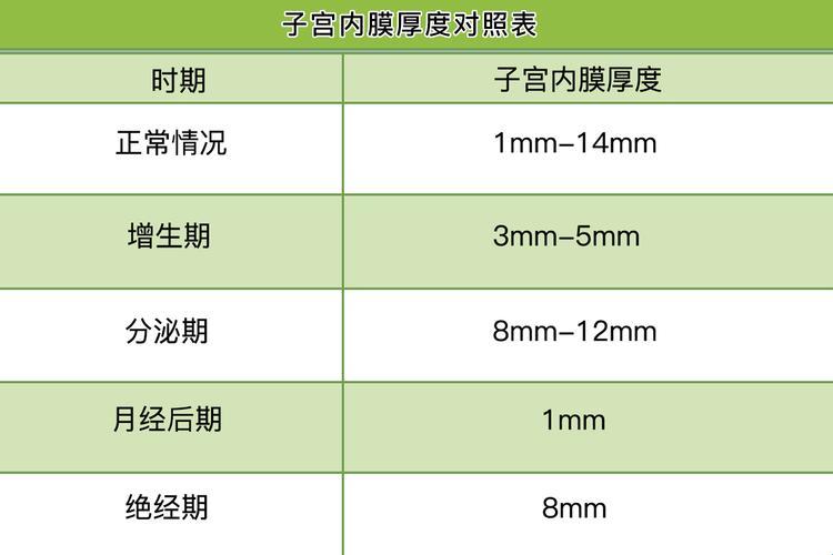 “子宫厚度大揭秘：你的‘里子’够不够厚？”