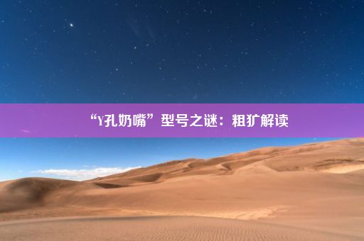 “Y孔奶嘴”型号之谜：粗犷解读