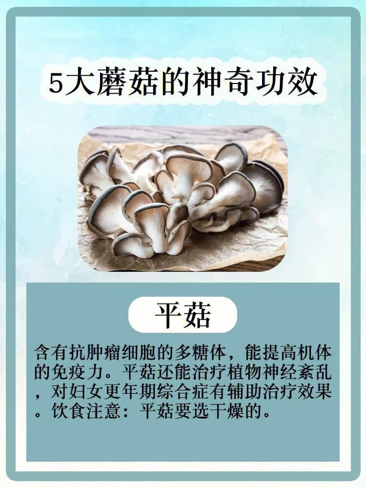 “鲜”菇凉的“蘑”力：营养？功效？笑谈！