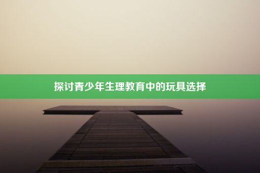 探讨青少年生理教育中的玩具选择