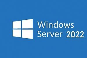 日本windowsserver68：探索女性行业的服务器秘密