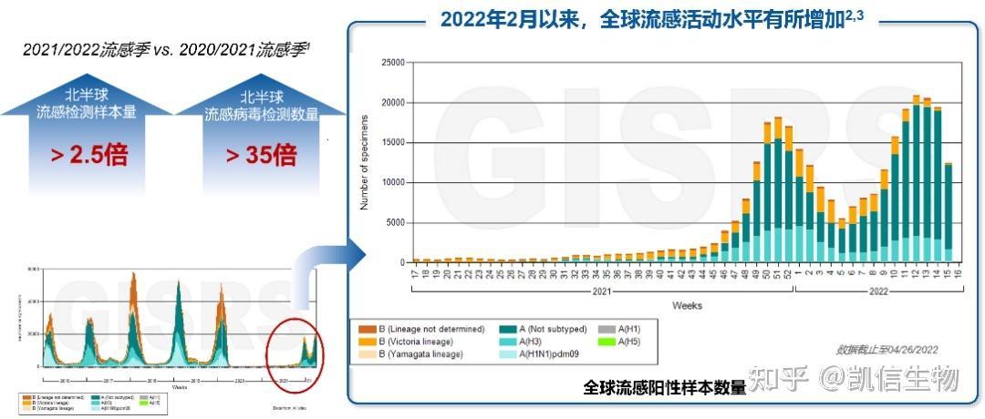 2023年8月流感，狂拽酷炫哪家强？