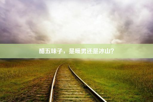 醋五味子，是暖男还是冰山？