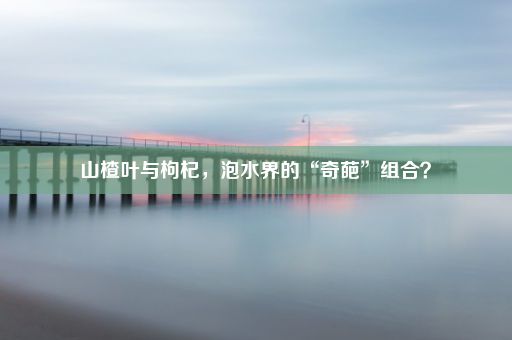 山楂叶与枸杞，泡水界的“奇葩”组合？