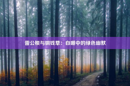 雷公根与铜钱草：自嘲中的绿色幽默