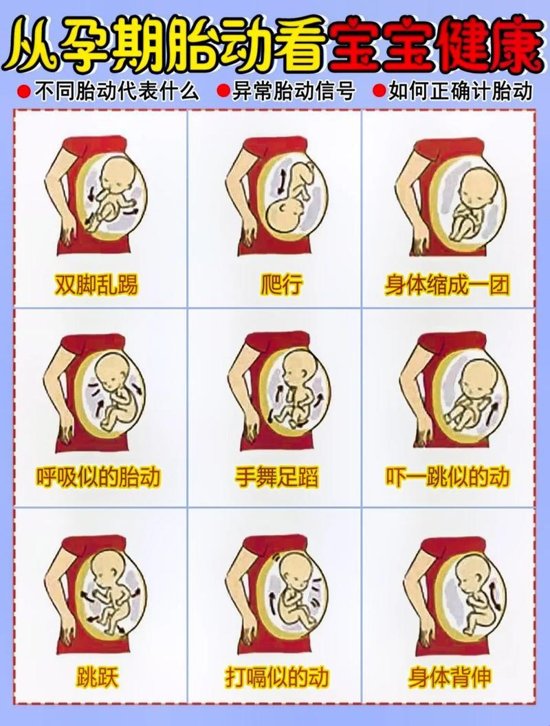 男孩胎动，位置何在？揭秘孕期超新星舞蹈之谜