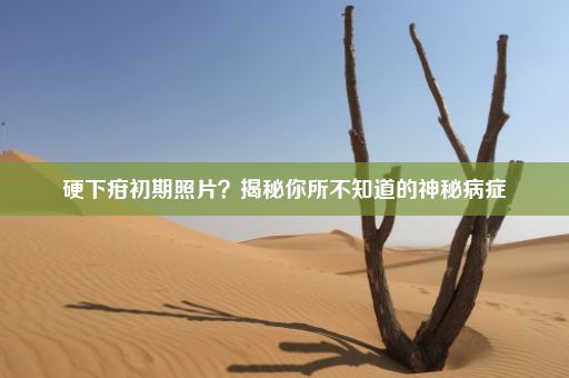 硬下疳初期照片？揭秘你所不知道的神秘病症