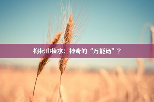 枸杞山楂水：神奇的“万能汤”？