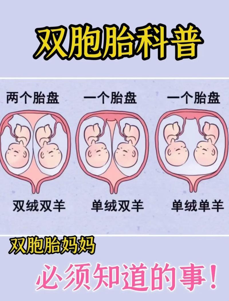 双胞胎的策划者之谜：一场不按套路出牌的探讨