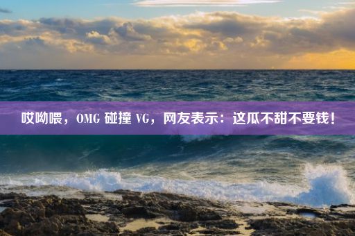 哎呦喂，OMG 碰撞 VG，网友表示：这瓜不甜不要钱！