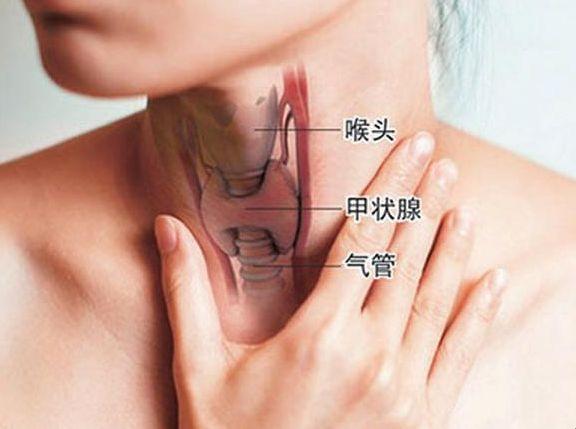 女性喉结突出，是甲状腺在搞怪？