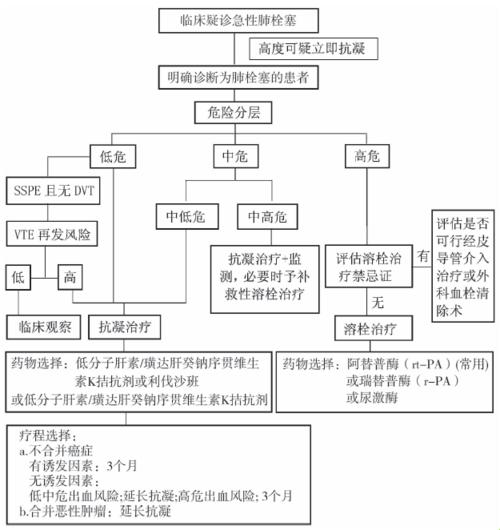 “静”止不前，“血”路漫漫——静脉血栓后遗症的讽刺疗法