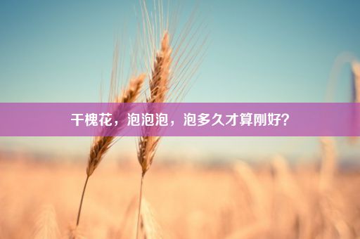 干槐花，泡泡泡，泡多久才算刚好？