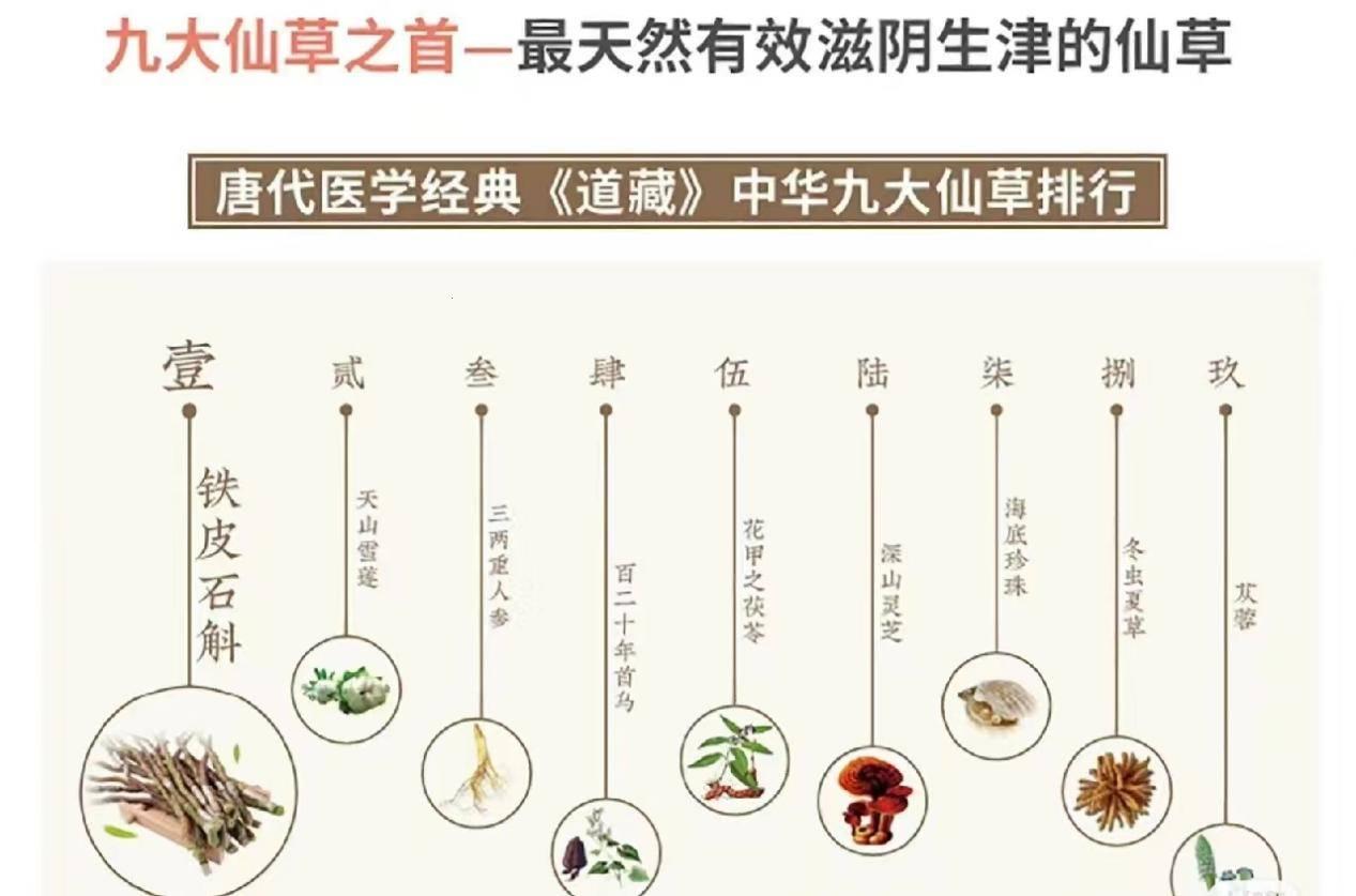 真正的石斛，价格几何？