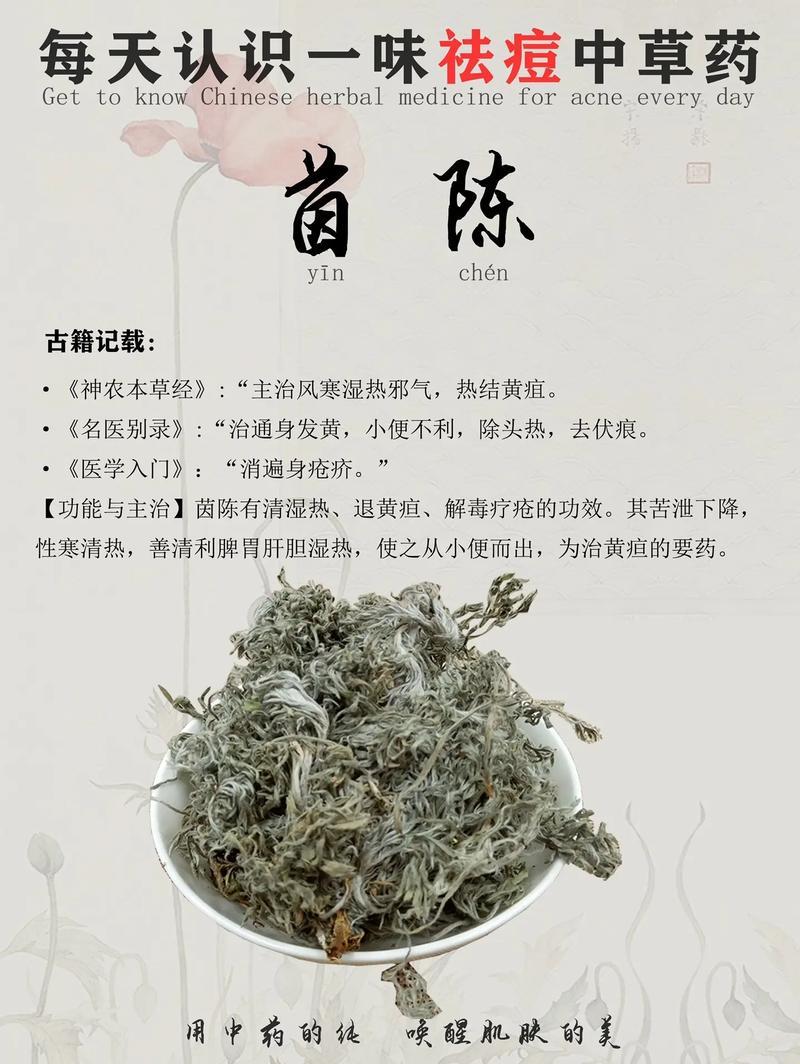 “茵陈”奇效揭秘：荒诞功效与逆天主治，笑skr人！