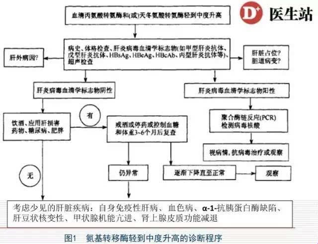 肝苦自知：医院之旅的讽刺杂谈