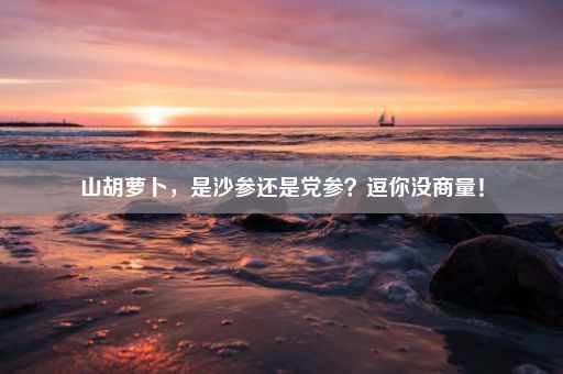 山胡萝卜，是沙参还是党参？逗你没商量！