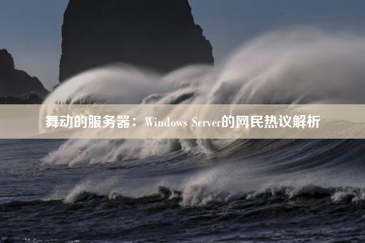 舞动的服务器：Windows Server的网民热议解析