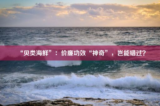 “贝类海鲜”：价廉功效“神奇”，岂能错过？