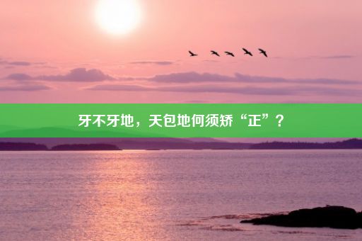 牙不牙地，天包地何须矫“正”？