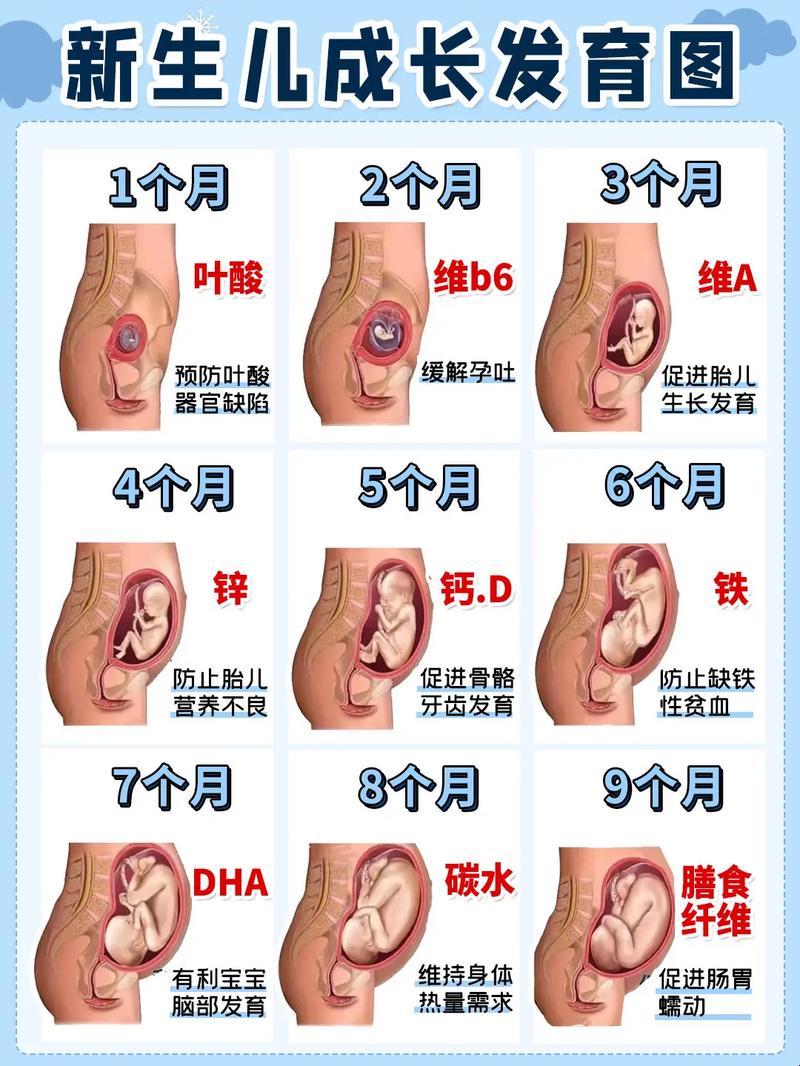 “七个月宝宝五大特点，妈咪笑掉大牙！”