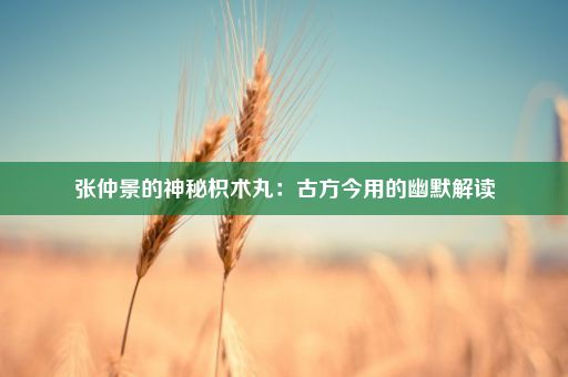 张仲景的神秘枳术丸：古方今用的幽默解读