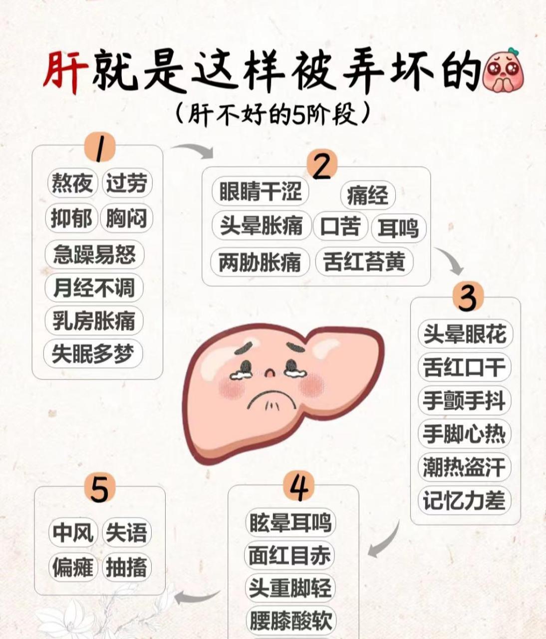 “肝”疼之谜：笑中带泪的探秘之旅