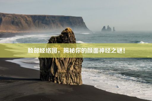 脸部经络图，揭秘你的颜面神经之谜！