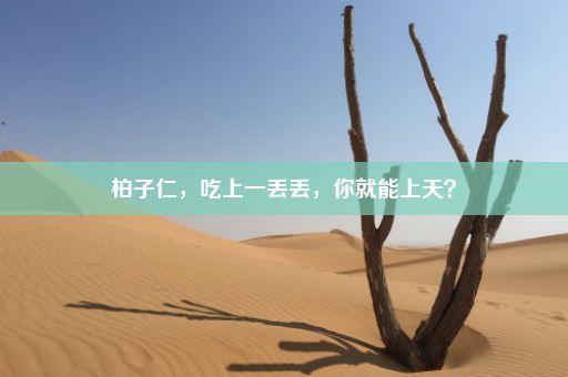 柏子仁，吃上一丢丢，你就能上天？