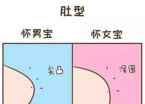 “孕味”揭秘：臀部膨胀，是男是女？