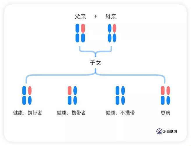 父母同个基因“砸”脸上，怎么办？