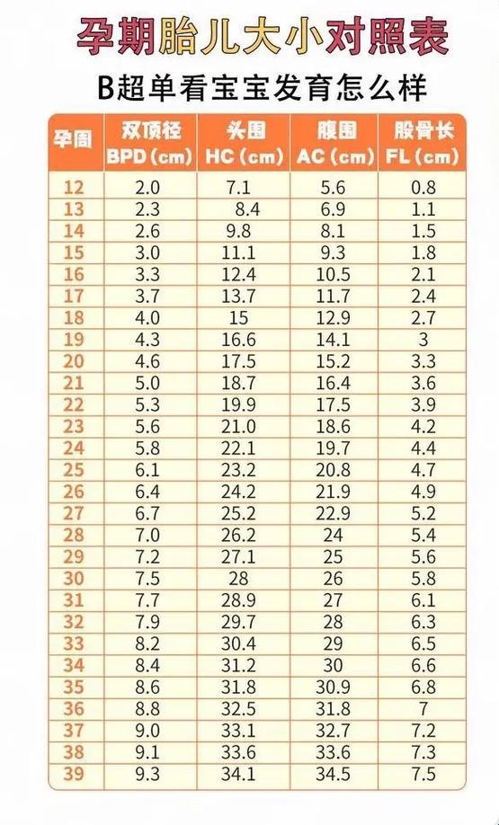 胎儿体重163±24g，换算成斤，竟是这个数！